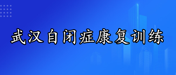 武汉精选十大儿童自闭症康复训练中心名单