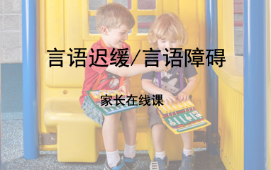 上海雅恩语言发展迟缓家长在线课程