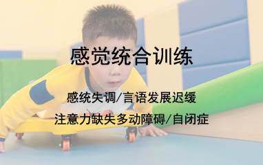 上海雅恩儿童感统训练机构