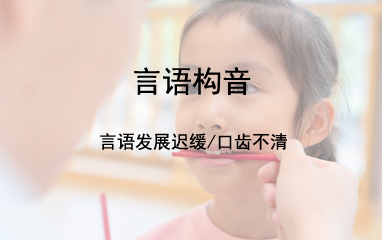 上海雅恩儿童言语构音培训机构