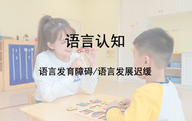 上海雅恩儿童语言康复机构
