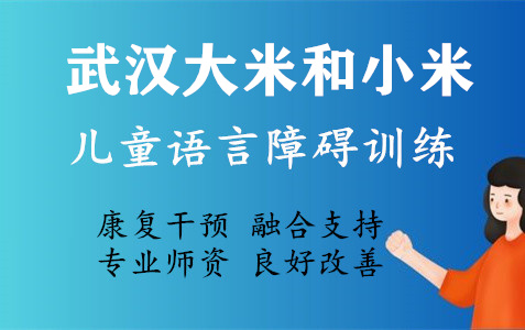 武汉儿童语言障碍康复干预课程