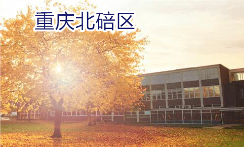 重庆北碚区高中辅导班环境